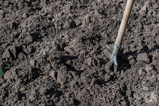 Land cultivation. Shovel as a farmer's hand tool. Loose soil at the private house