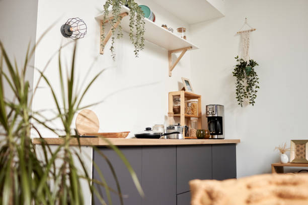 istock Simple kitchen area in studio apartment with green plants 1791202698
