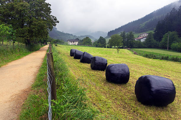 istock round hay bales with plastic weather cover 179120340