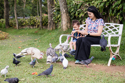 A mother and her toddler aged little boy pet and feed their poultry  at city park
