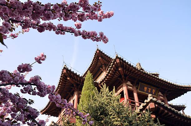istock Xi'an Seiryuji cherry 179121610