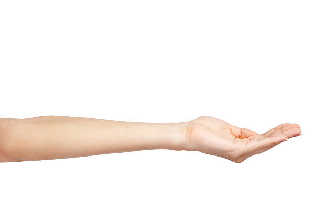 istock Female hand on white background 179121681