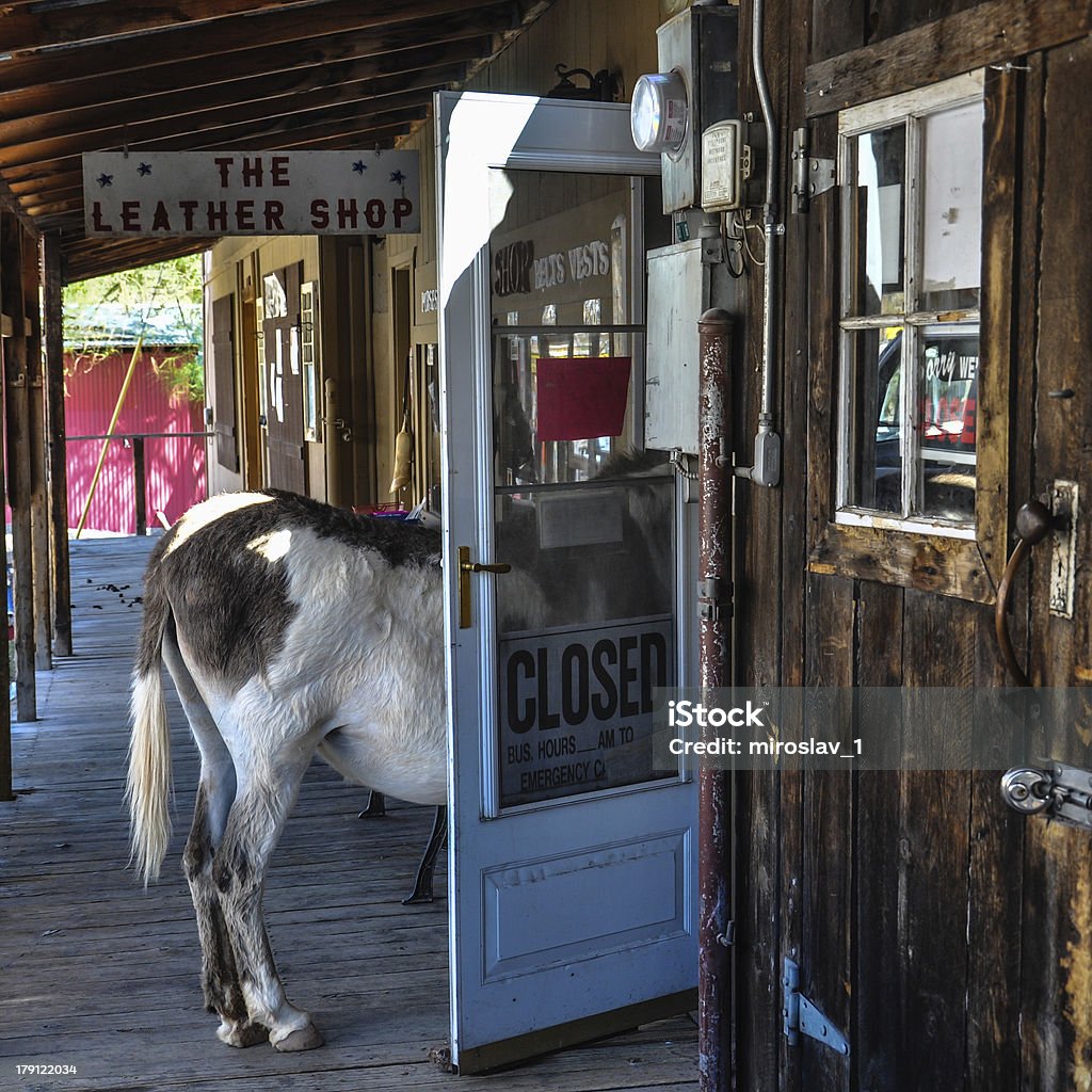 Caparbio Asino in un negozio porta su Route 66 - Foto stock royalty-free di Oatman - Arizona