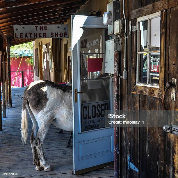 Caparbio Asino In Un Negozio Porta Su Route 66 - Fotografie stock e altre immagini di Oatman - Arizona - Oatman - Arizona, Arizona, Mulo