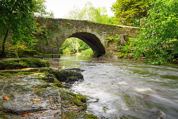Mountain creek of Clare Glens in Ireland