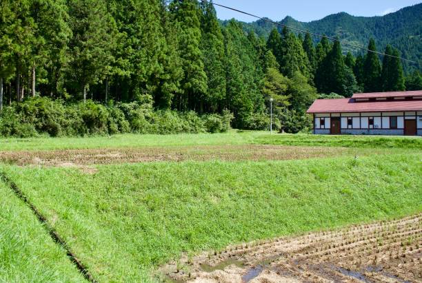 istock Scenery of rice fields after harvesting in Gifu 1791230104