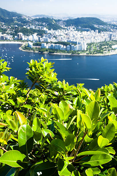 istock Rio de Janeiro, Brazil 179123660