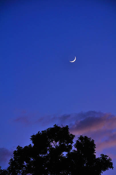 istock Beautiful moon & sky silhouette 179124718