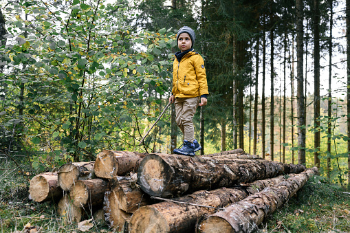 A four-year-old boy, enjoying an autumn day in the forest, explores a pile of felled logs, happily jumping and playing among them. His face lights up with joy as he revels in the simple pleasures of nature. The vibrant autumn colors and playful moments create an atmosphere of delight and childlike innocence.