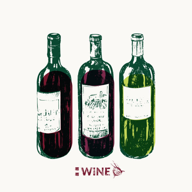 ilustrações de stock, clip art, desenhos animados e ícones de hand drawn red and white wine bottles illustration - wine winetasting cellar bottle