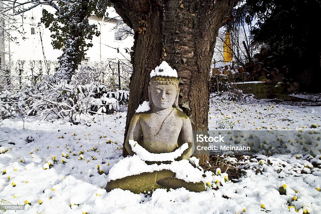 buddha statue meditation in winter buddha statue meditation in winter and snow in front of a cherry tree Beauty In Nature Stock Photo