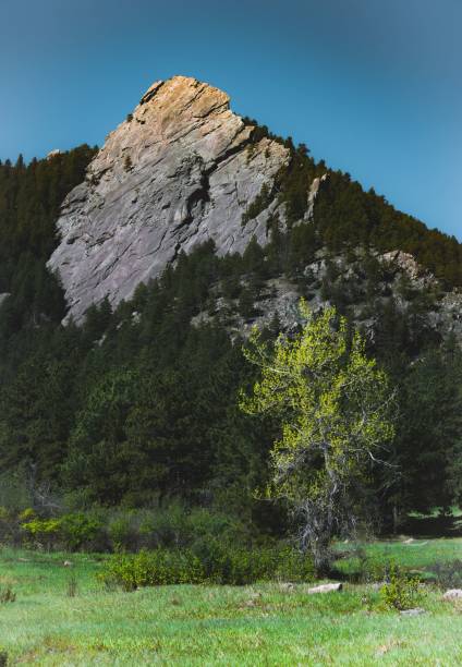 istock Scenic view of a green field against a mountain range 1791260124