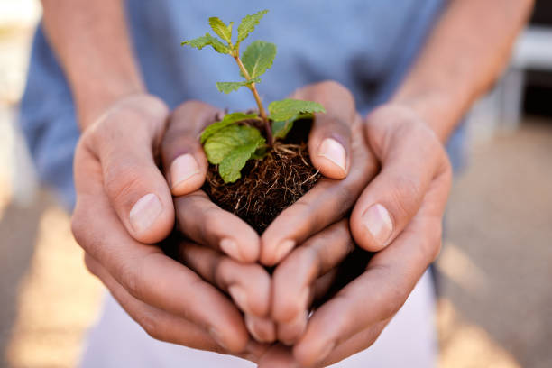 istock Plants, hands and people in teamwork, community and earth day for support, sustainability and climate change. Closeup, growth and holding soil, sand and spring leaf in nature, environment ngo or hope 1791262790