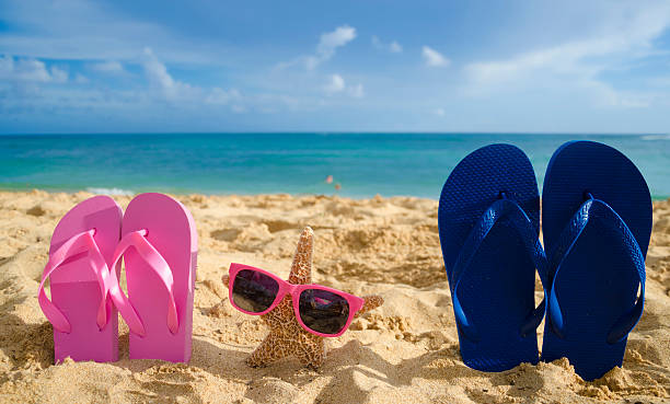 istock Flip flops and starfish with sunglasses on sandy beach 179126462