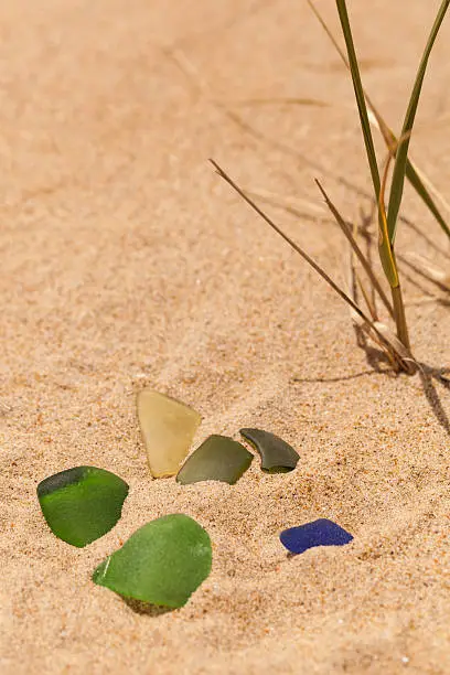 A collection of green, yellow and blue seaglass (beach glass) is placed next to dune grass on the beach in summertime.
