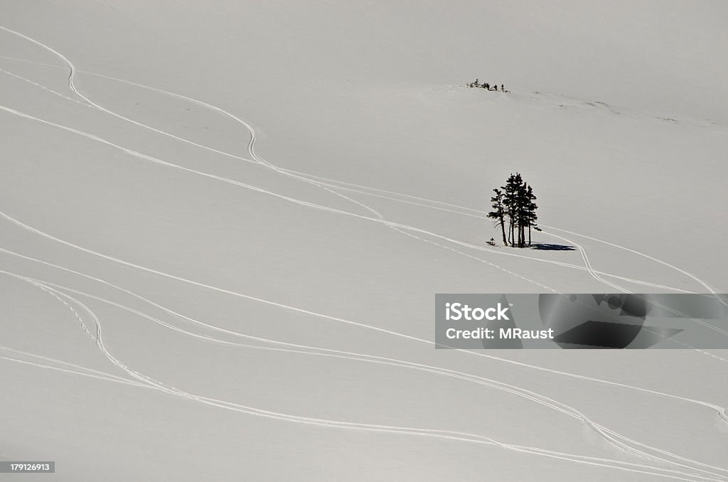 Nuovi brani da sci in montagna Neve farinosa - Foto stock royalty-free di Albero