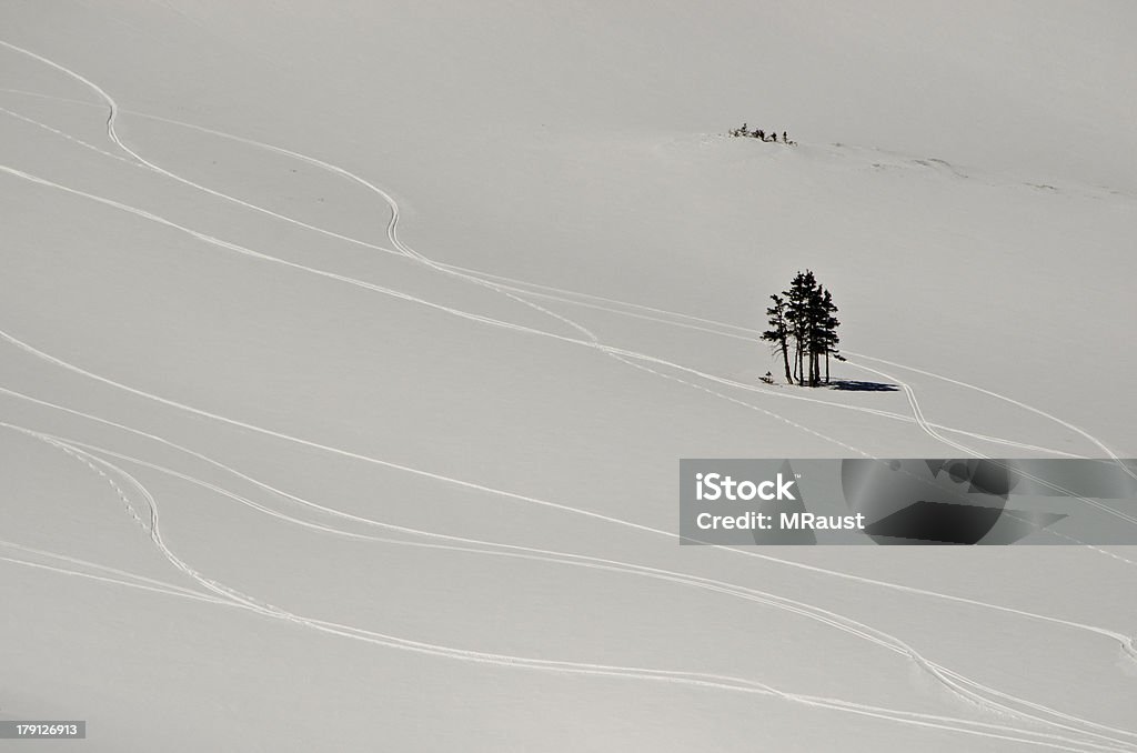 Świeże Ski śledzi w Alpine Śnieżny puch - Zbiór zdjęć royalty-free (Bez ludzi)