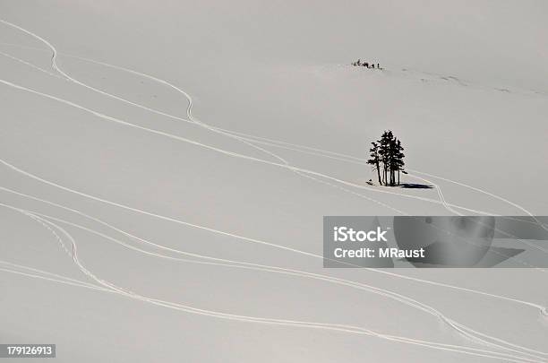 Świeże Ski Śledzi W Alpine Śnieżny Puch - zdjęcia stockowe i więcej obrazów Bez ludzi - Bez ludzi, Bezchmurne niebo, Biały