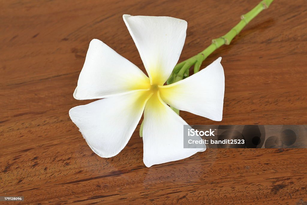 Fleurs de frangipanier sur un parquet en bois. - Photo de Bali libre de droits