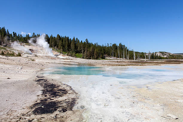 Yellowstone National Park stock photo