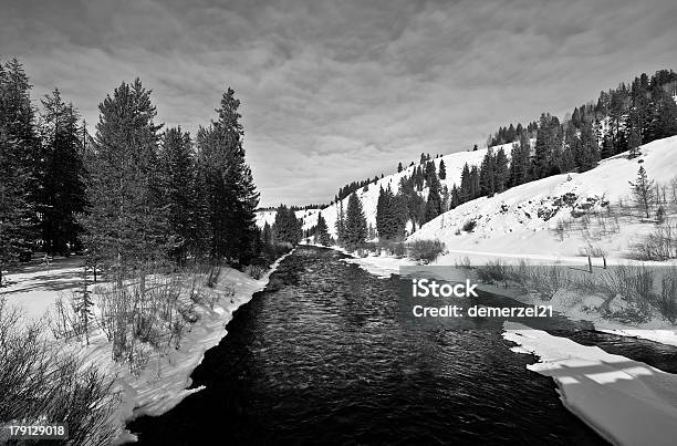 Greys River In Wyoming Stock Photo - Download Image Now - Extreme Terrain, Flowing Water, Gray Color