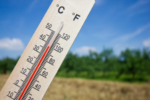 thermometer with a 100 degrees Fahrenheit (38 degrees Celsius) and the fields and sky in the back.