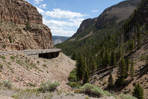 Road through Yellowstone National Park stock photo