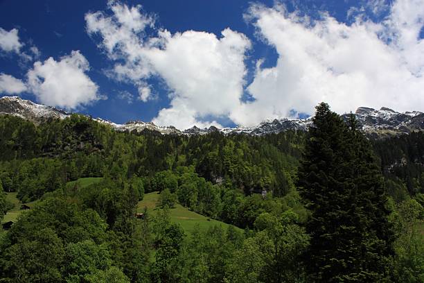 швейцария - switzerland interlaken schreckhorn mountain стоковые фото и изображения