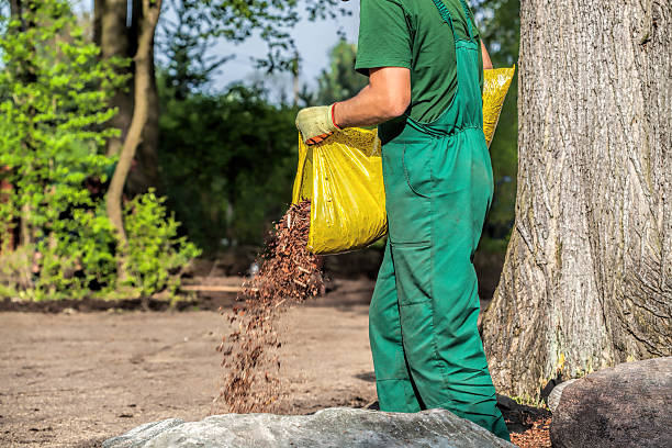 istock Gardener spills garden bark 179130159