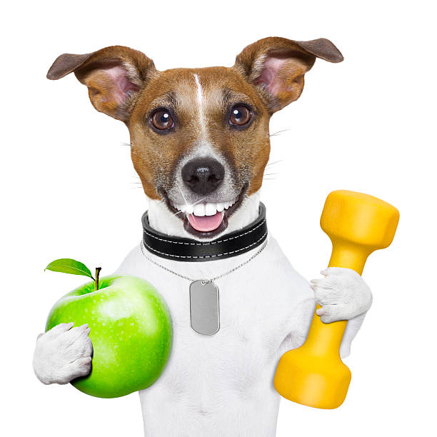 dog ball with human teeth
