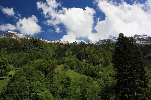 alpes suisses - schreckhorn photos et images de collection