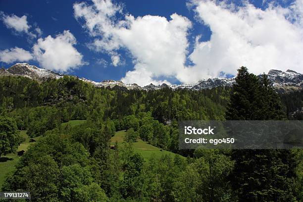 Alpi Svizzere - Fotografie stock e altre immagini di Albero - Albero, Alpi, Ambientazione esterna