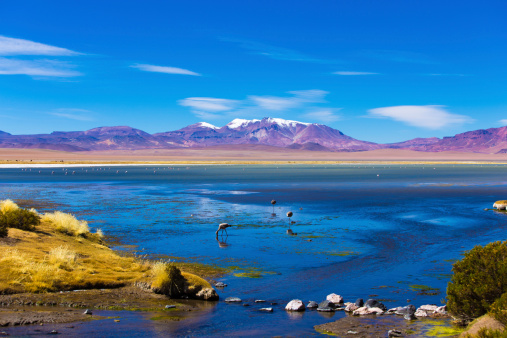 Landscape in Chile