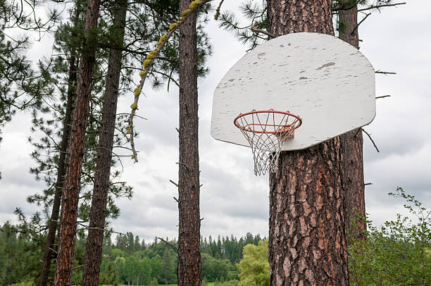 istock Pine tree Basketball hoop on a rainy day 179131446