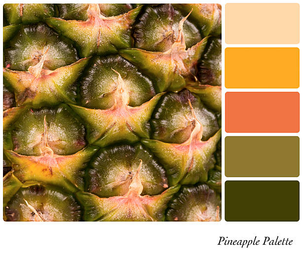 Pineapple Palette A closeup background texture of fresh pineapple,  in a colour palette with complimentary colour swatches. design color swatch painting plan stock pictures, royalty-free photos & images