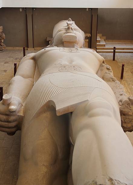 The colossus of Ramses II in Memphis, Egypt. Ramses II (c. 1303 BC – July or August 1213 BC); referred to as Ramesses the Great, was the third Egyptian pharaoh (reigned 1279 BC – 1213 BC) of the Nineteenth dynasty. rameses ii stock pictures, royalty-free photos & images
