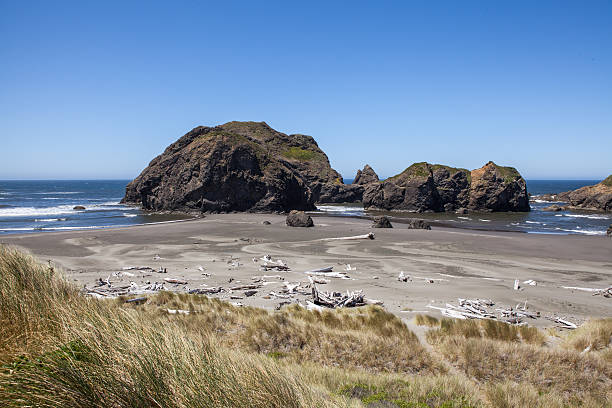 Oregon Coast stock photo