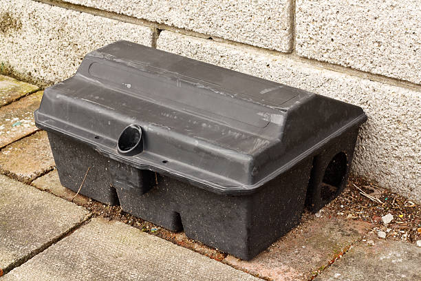 istock Enclosed Rat trap safety poison 179132399