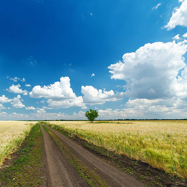 istock dirty road to horizon under cloudy sky 179132406