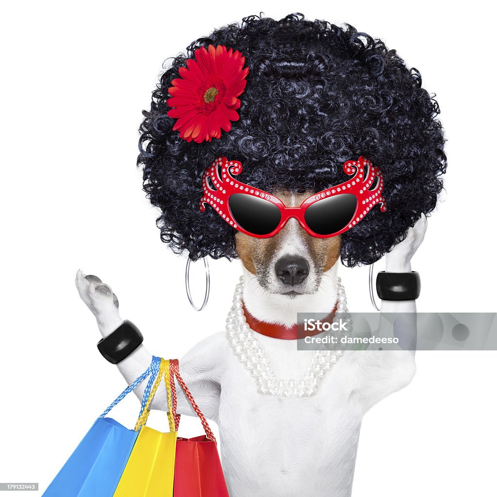 shopaholic diva dog diva dog shopping like a pro , holding a bunch of bags Business Stock Photo