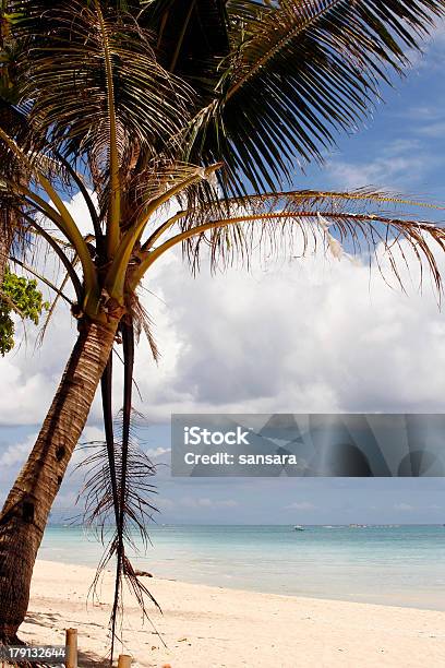 Spiaggia Isola Di Boracay - Fotografie stock e altre immagini di Ambientazione esterna - Ambientazione esterna, Asia, Blu