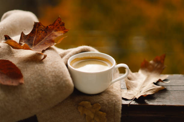 istock Cute cat with cozy autumn still life 1791328691