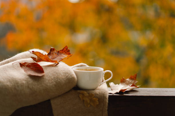 istock Cute cat with cozy autumn still life 1791328696