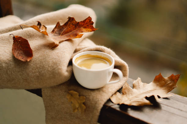 istock Cute cat with cozy autumn still life 1791328697