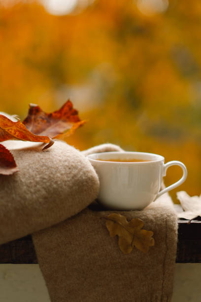 istock Cute cat with cozy autumn still life 1791328699