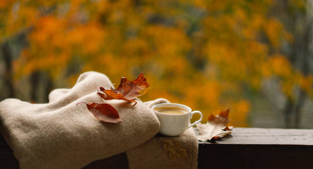 istock Cute cat with cozy autumn still life 1791328707