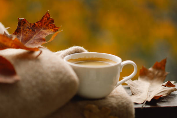 istock Cute cat with cozy autumn still life 1791328712