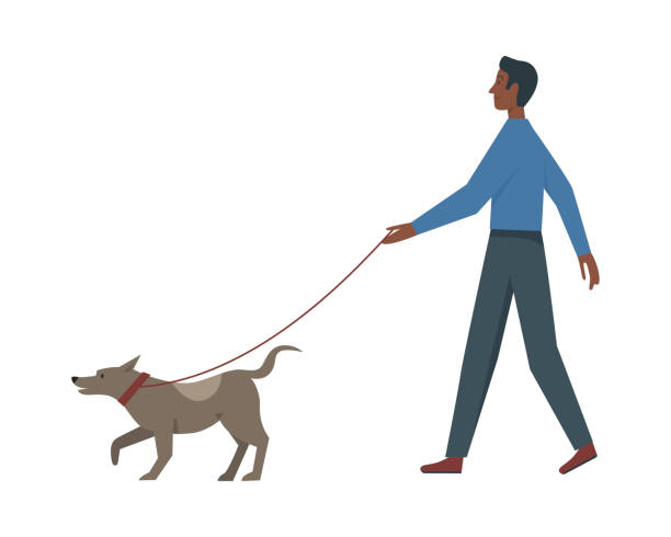 ilustrações, clipart, desenhos animados e ícones de homem passeando com cão, atividade de parque de verão de animal de estimação feliz e pessoa - men jogging running sports training