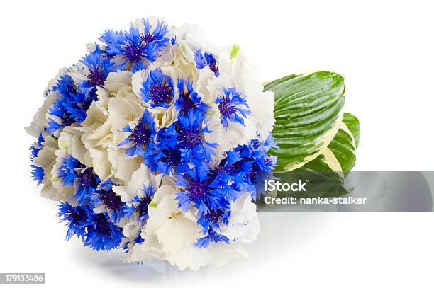 Wedding Bouquet Stock Photo - Download Image Now - Blossom, Blue, Bouquet