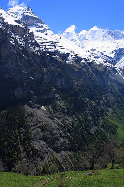 alpes suizos - switzerland interlaken schreckhorn mountain fotografías e imágenes de stock